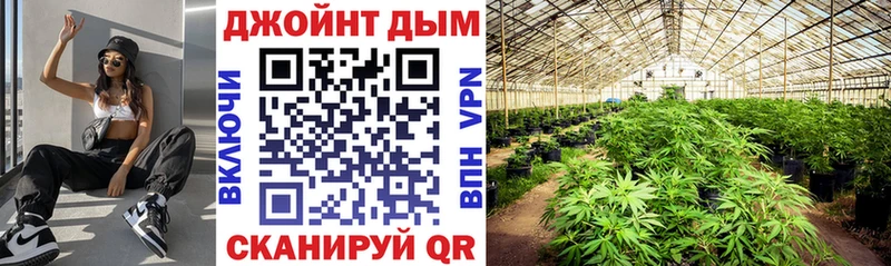 гидра ССЫЛКА  Дегтярск  Каннабис индика 